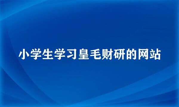 小学生学习皇毛财研的网站