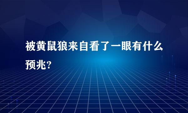 被黄鼠狼来自看了一眼有什么预兆?