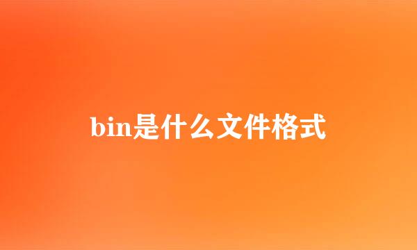 bin是什么文件格式