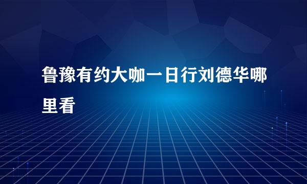 鲁豫有约大咖一日行刘德华哪里看