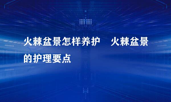 火棘盆景怎样养护 火棘盆景的护理要点