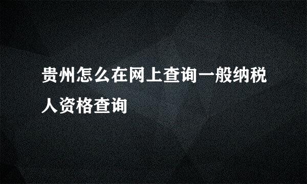 贵州怎么在网上查询一般纳税人资格查询