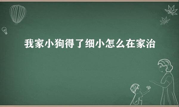 我家小狗得了细小怎么在家治