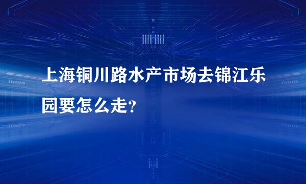 上海铜川路水产市场去锦江乐园要怎么走？