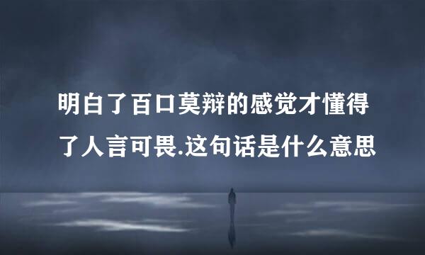 明白了百口莫辩的感觉才懂得了人言可畏.这句话是什么意思