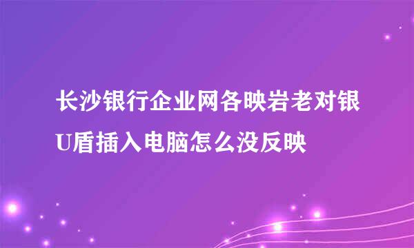 长沙银行企业网各映岩老对银U盾插入电脑怎么没反映