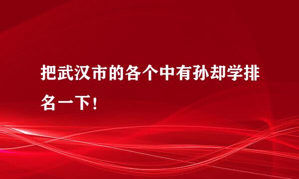 把武汉市的各个中有孙却学排名一下！