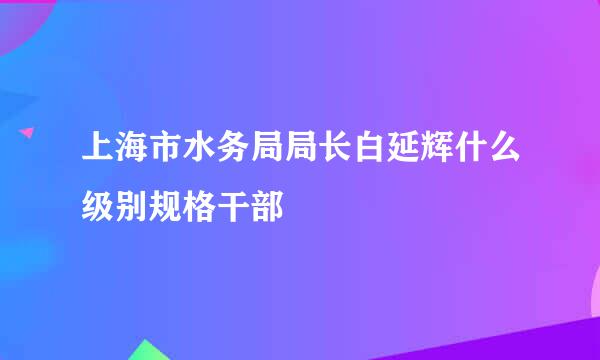 上海市水务局局长白延辉什么级别规格干部