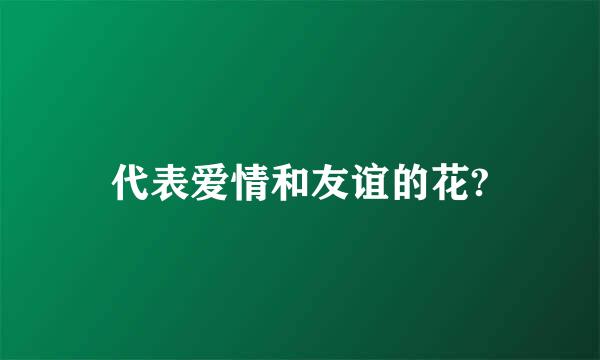 代表爱情和友谊的花?