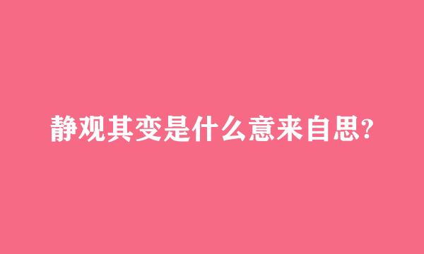 静观其变是什么意来自思?