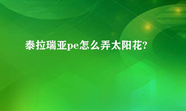 泰拉瑞亚pe怎么弄太阳花?