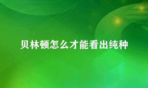 贝林顿怎么才能看出纯种