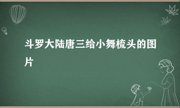 斗罗大陆唐三给小舞梳头的图片