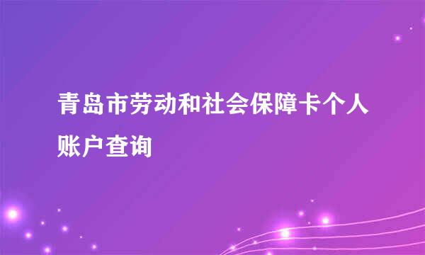 青岛市劳动和社会保障卡个人账户查询