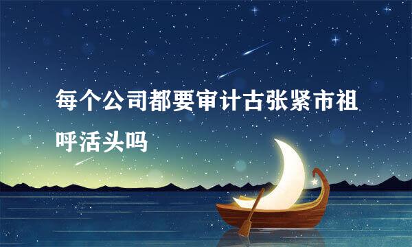 每个公司都要审计古张紧市祖呼活头吗