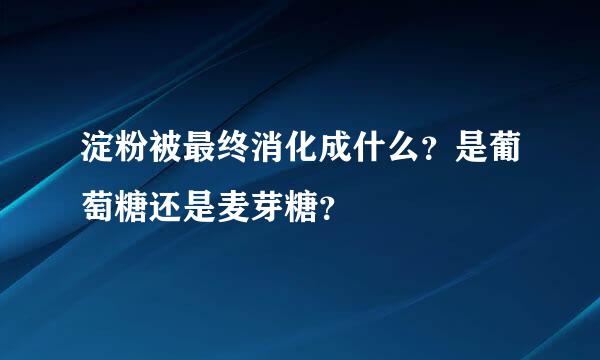 淀粉被最终消化成什么？是葡萄糖还是麦芽糖？