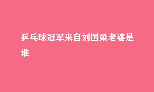 乒乓球冠军来自刘国梁老婆是谁