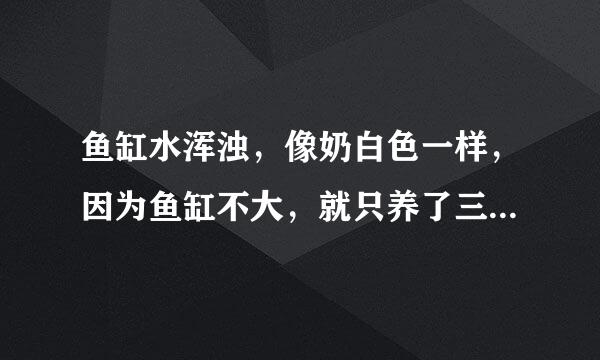 鱼缸水浑浊，像奶白色一样，因为鱼缸不大，就只养了三条挺小事质依补亲该极万检星小的金鱼，该怎么办？这来自