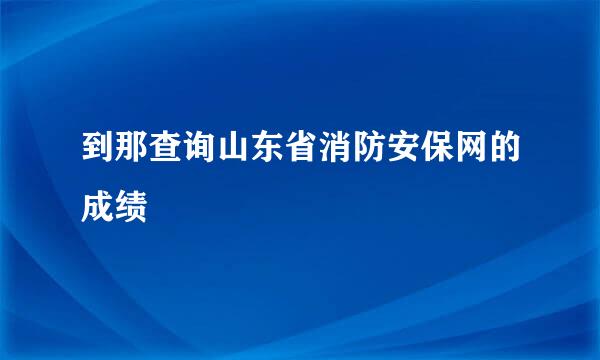 到那查询山东省消防安保网的成绩