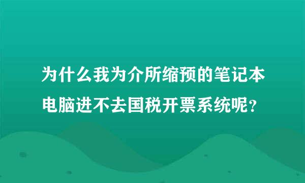 为什么我为介所缩预的笔记本电脑进不去国税开票系统呢？