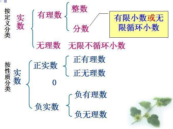 0.3是不是有理数