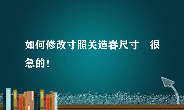 如何修改寸照关造春尺寸 很急的！