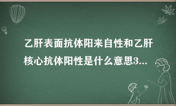 乙肝表面抗体阳来自性和乙肝核心抗体阳性是什么意思360问答？