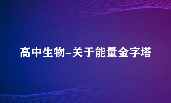 高中生物-关于能量金字塔