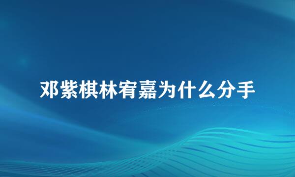 邓紫棋林宥嘉为什么分手