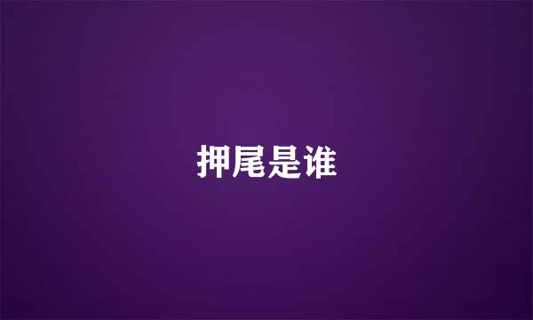 押尾是谁