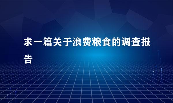 求一篇关于浪费粮食的调查报告