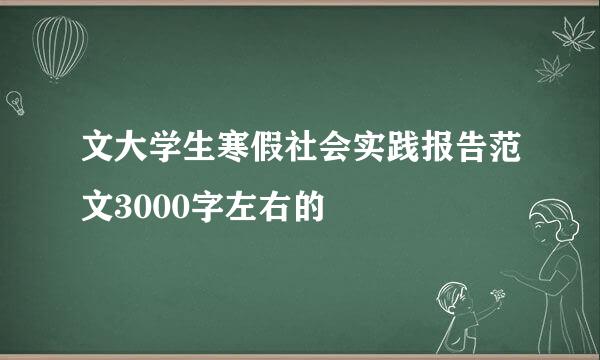 文大学生寒假社会实践报告范文3000字左右的