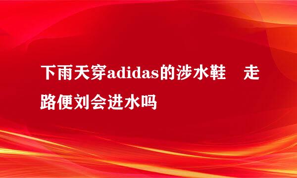 下雨天穿adidas的涉水鞋 走路便刘会进水吗