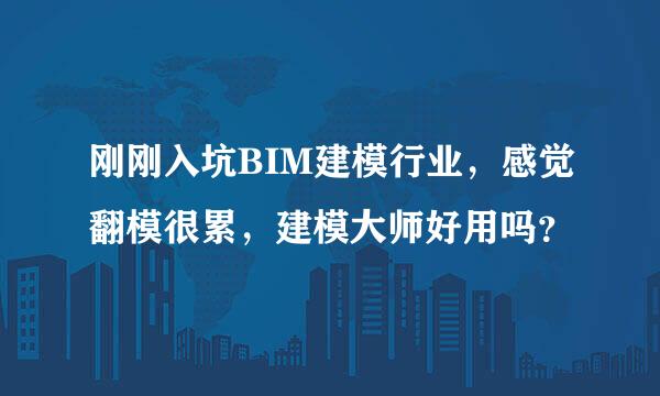 刚刚入坑BIM建模行业，感觉翻模很累，建模大师好用吗？