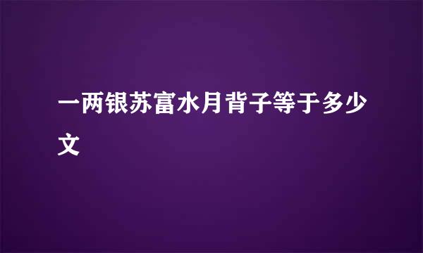 一两银苏富水月背子等于多少文