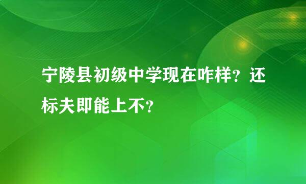 宁陵县初级中学现在咋样？还标夫即能上不？