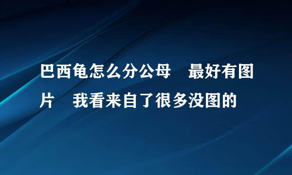 巴西龟怎么分公母 最好有图片 我看来自了很多没图的