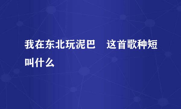 我在东北玩泥巴 这首歌种短叫什么