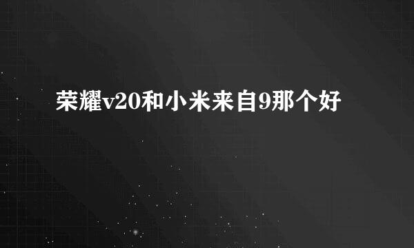 荣耀v20和小米来自9那个好