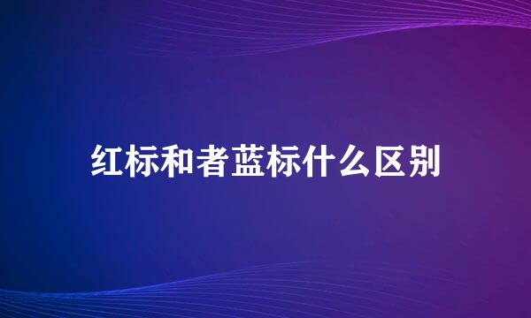 红标和者蓝标什么区别