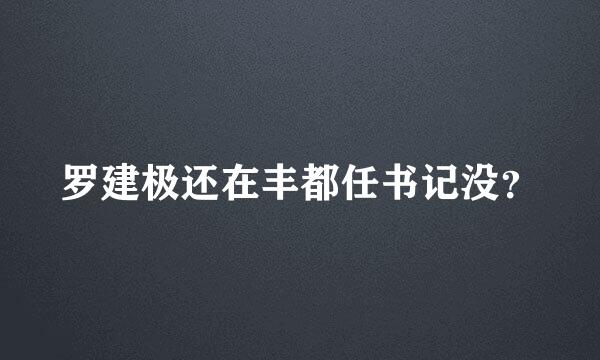 罗建极还在丰都任书记没？