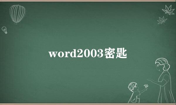 word2003密匙