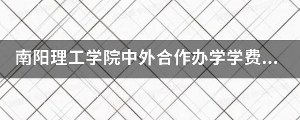 南阳理工学院中外合作办学学费用多少？