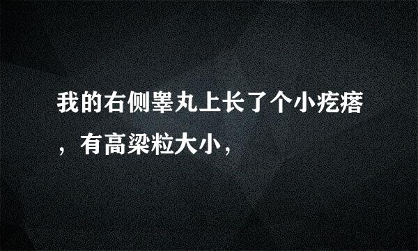 我的右侧睾丸上长了个小疙瘩，有高梁粒大小，