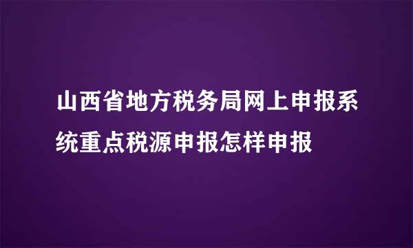 山西省地方税务局网上申报系统重点税源申报怎样申报