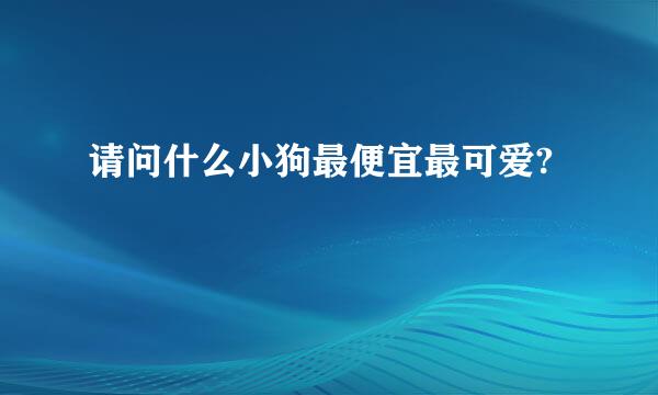 请问什么小狗最便宜最可爱?