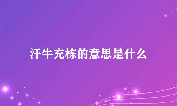 汗牛充栋的意思是什么