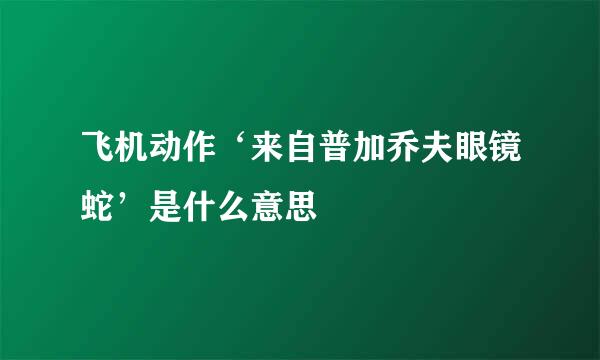 飞机动作‘来自普加乔夫眼镜蛇’是什么意思