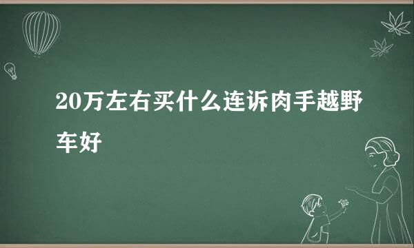 20万左右买什么连诉肉手越野车好