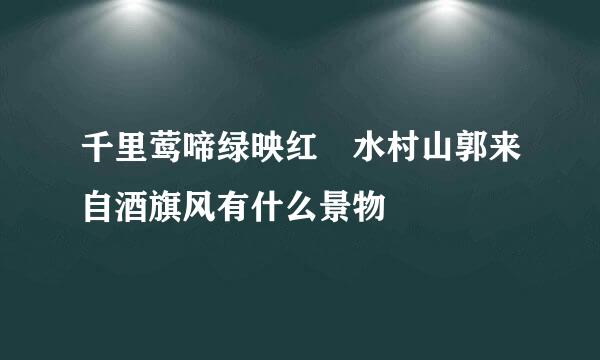 千里莺啼绿映红 水村山郭来自酒旗风有什么景物